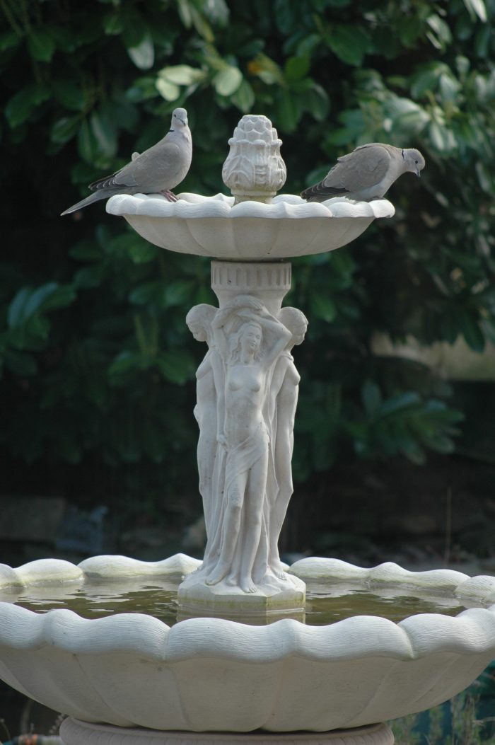 3 graces white